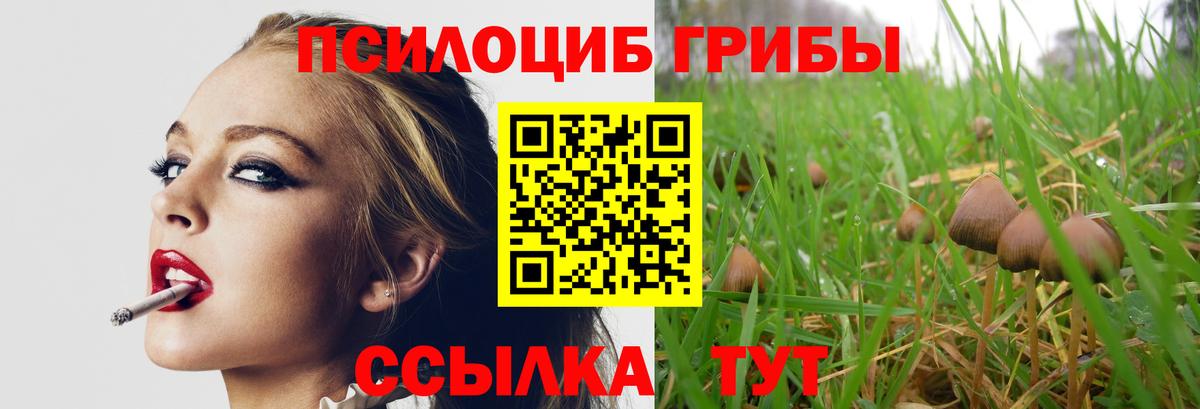 Псилоцибиновые грибы мицелий Минеральные Воды