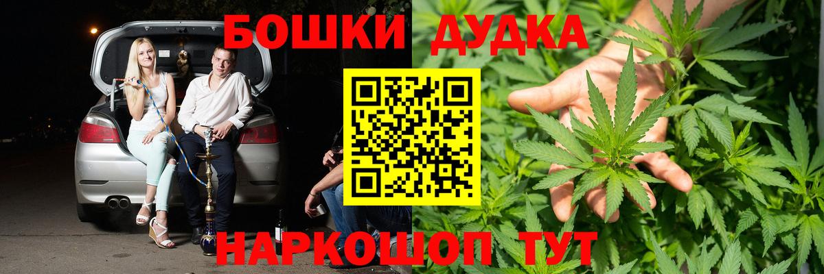 Канабис планчик  Каннабис индика  Вход с VPN  Минеральные Воды  Канабис OG Kush 